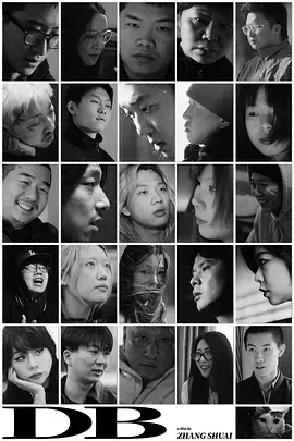 《DB》全集高清完整版在线观看与剧情解析