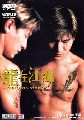 《龙在江湖1998[电影解说]》全集高清完整版在线观看与剧情解析