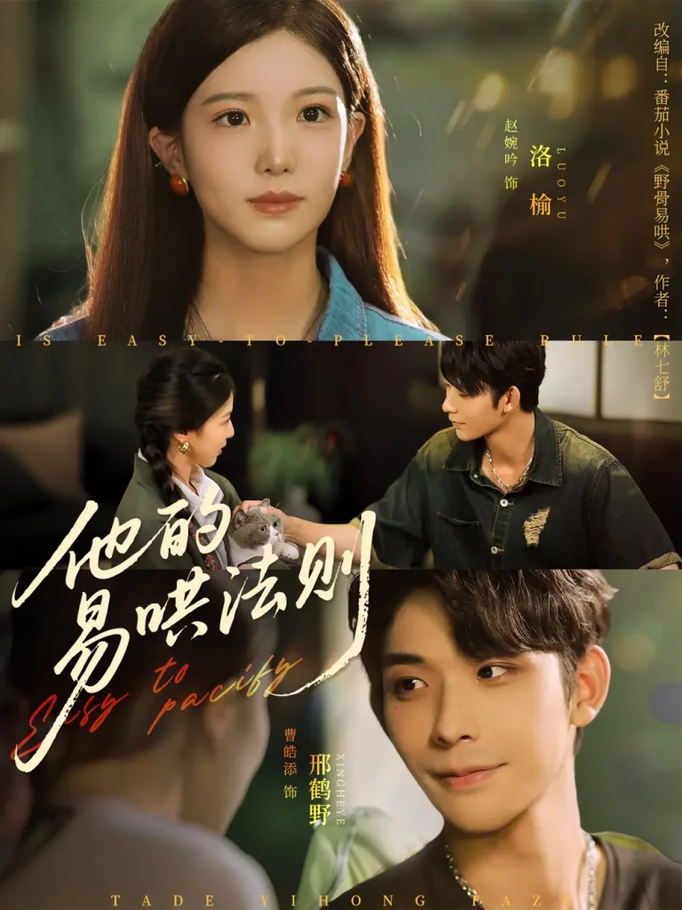 《他的易哄法则》全集高清完整版在线观看与剧情解析