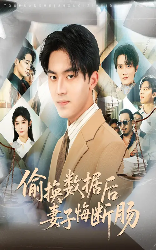 《偷换数据后妻子悔断肠》全集高清完整版在线观看与剧情解析