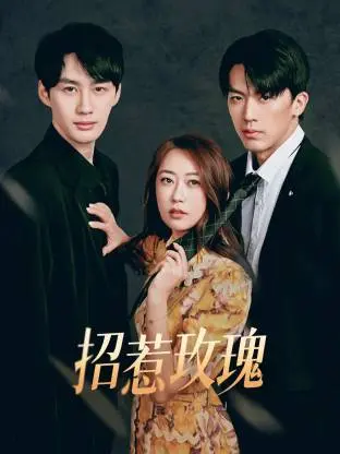 《招惹玫瑰》全集高清完整版在线观看与剧情解析