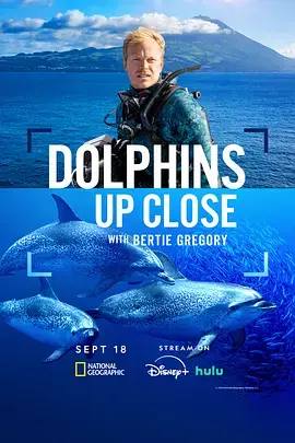 《摄影师贝尔蒂与海豚零距离》全集高清完整版在线观看与剧情解析