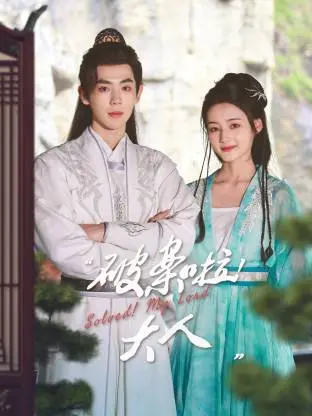 《破案啦!大人》全集高清完整版在线观看与剧情解析