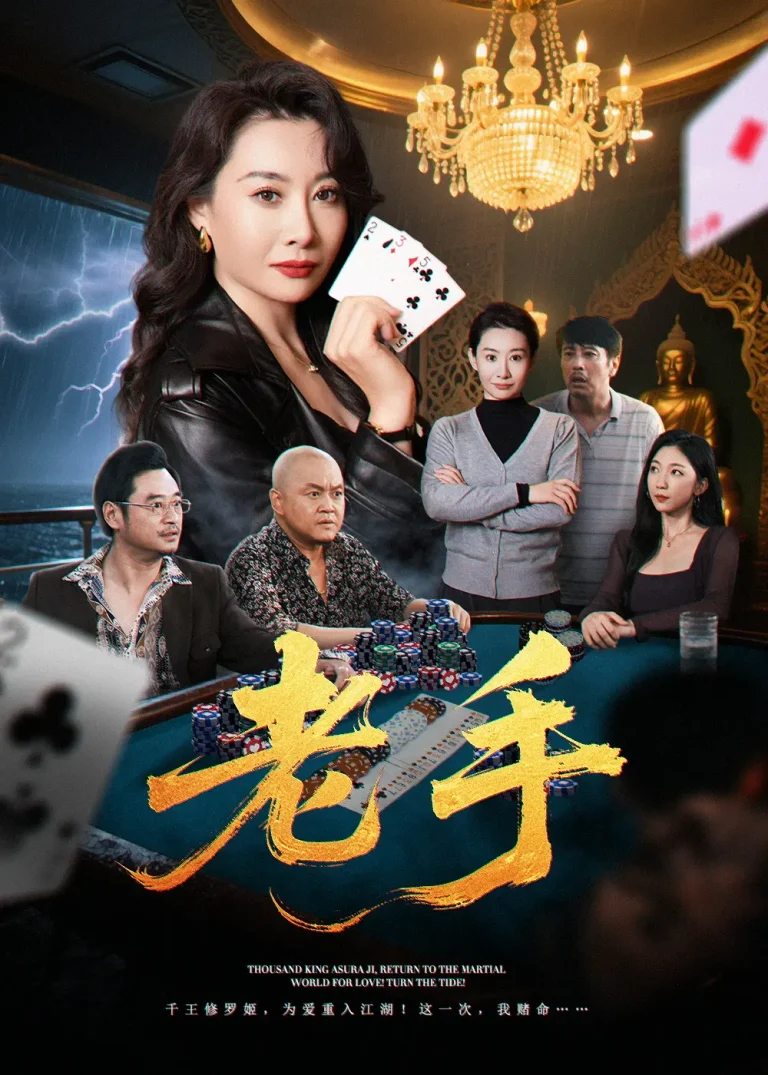 《老手》全集高清完整版在线观看与剧情解析