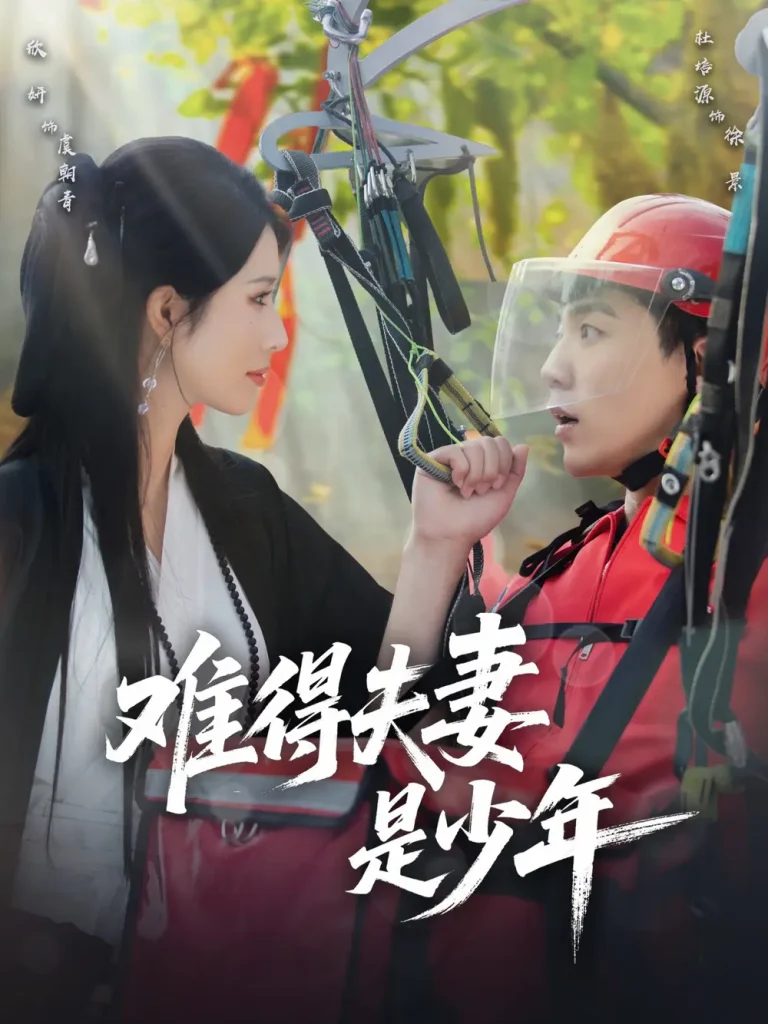 《难得夫妻是少年》全集高清完整版在线观看与剧情解析